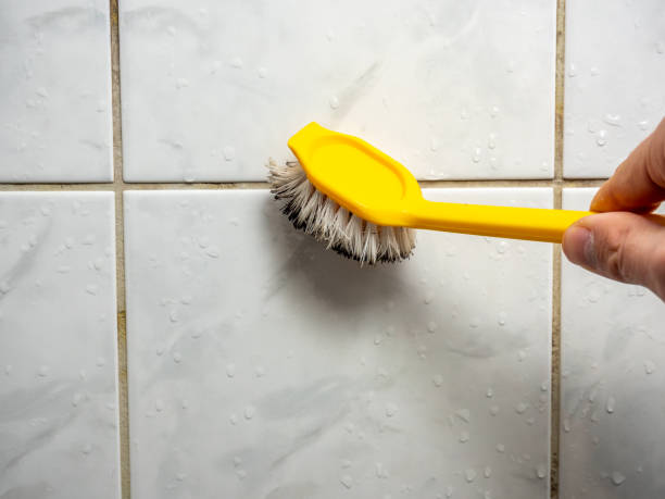 Best Mold Cleaning Services  in Oil City, PA