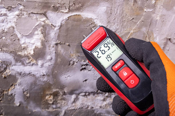 Best Mold Remediation Services  in Oil City, PA
